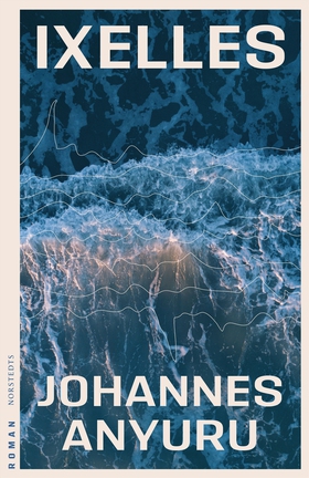 Ixelles : roman (e-bok) av Johannes Anyuru