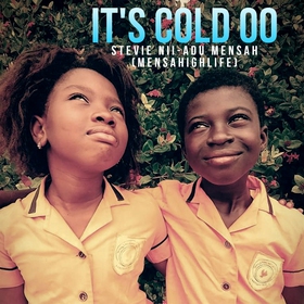 It's Cold Oo (ljudbok) av Stevie Nii-Adu Mensah