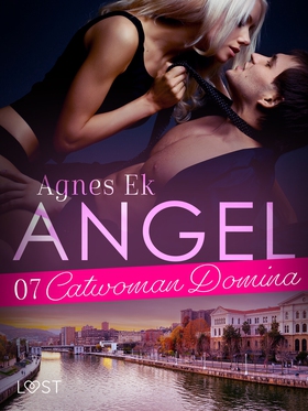 Angel 7: Catwoman Domina - BDSM erotik (e-bok) 