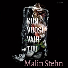 Kun vuosi vaihtuu (ljudbok) av Malin Stehn