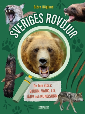 Sveriges rovdjur: de fem stora: björn, varg, lo