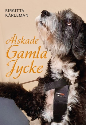 Älskade gamla jycke (e-bok) av Birgitta Kårlema