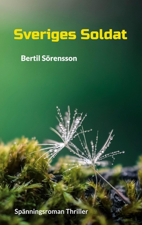 Sveriges Soldat: Spänningsroman Thriller (e-bok