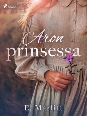 Aron prinsessa (e-bok) av E. Marlitt