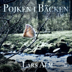 Pojken i bäcken - del 1 (ljudbok) av Lars Alm