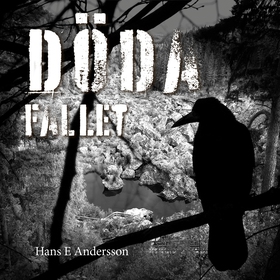 Döda Fallet (ljudbok) av Hans E Andersson, Hans