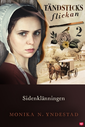 Sidenklänningen (e-bok) av Monika N. Yndestad