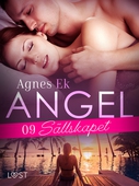 Angel 9: Sällskapet - Erotisk novell