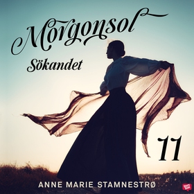 Sökandet (ljudbok) av Anne Marie Stamnestrø