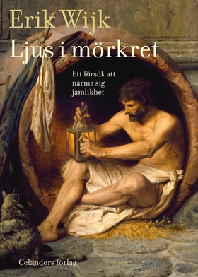 Ljus i mörkret (e-bok) av Erik Wijk