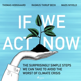 If We Act Now - the surprisingly simple steps w