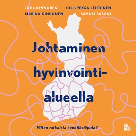 Johtaminen hyvinvointialueella (ljudbok) av Oll