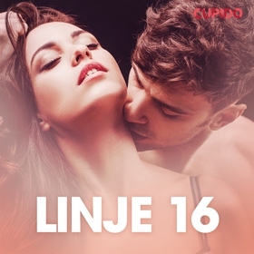Linje 16 – erotisk novell (ljudbok) av Cupido