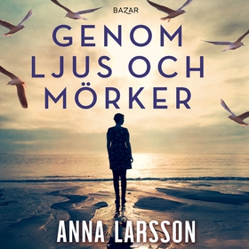 Genom ljus och mörker (ljudbok) av Anna Larsson