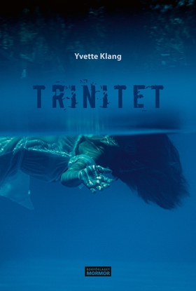 Trinitet (e-bok) av Yvette Klang