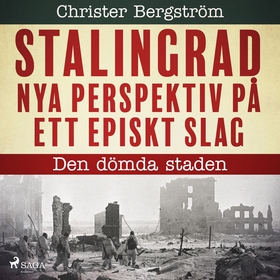Den dömda staden (ljudbok) av Christer Bergströ