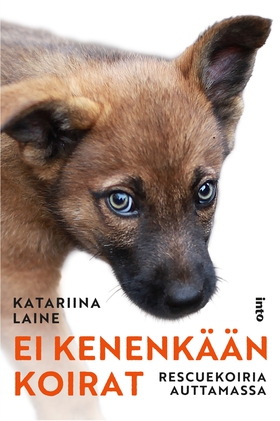 Ei kenenkään koirat (e-bok) av Katariina Laine