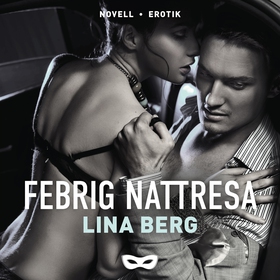 Febrig nattresa (ljudbok) av Lina Berg