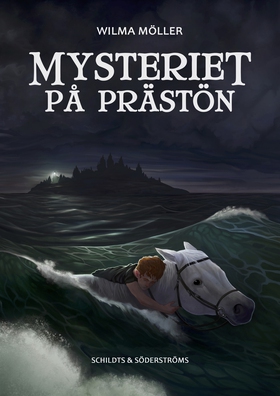 Mysteriet på Prästön (e-bok) av Wilma Möller