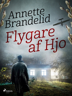 Flygare af Hjo (e-bok) av Annette Brandelid