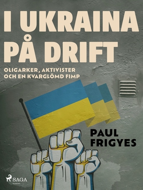 I Ukraina på drift (e-bok) av Paul Frigyes