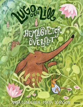 Hemligheter överallt (e-bok) av Anna Lundgren