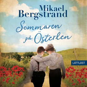 Sommaren på Österlen (lättläst) (ljudbok) av Mi