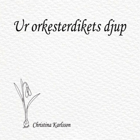 Ur orkesterdikets djup (e-bok) av Christina Kar