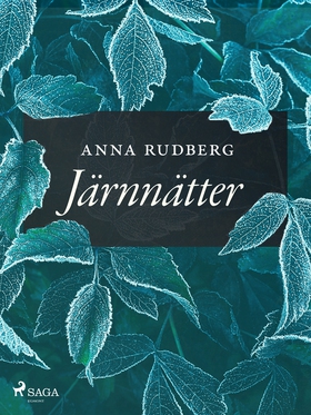 Järnnätter (e-bok) av Anna Rudberg
