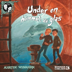 Under en himmel av glas (ljudbok) av Martin Wid