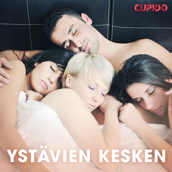 Ystävien kesken – eroottinen novellikokoelma
