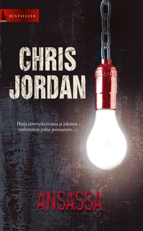 Ansassa (e-bok) av Chris Jordan