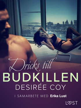 Dricks till budkillen - erotisk novell (e-bok) 