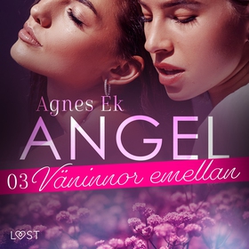 Angel 3: Väninnor emellan - Erotisk novell (lju
