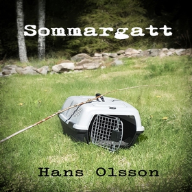 Sommargatt (ljudbok) av Hans Olsson