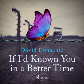 If I'd Known You in a Better Time (ljudbok) av 
