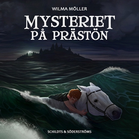 Mysteriet på Prästön (ljudbok) av Wilma Möller