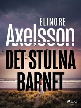 Det stulna barnet (e-bok) av Elinore Axelsson