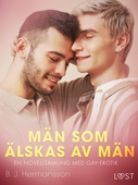 Män som älskas av män - en novellsamling med gay-erotik