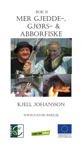 Mer gjedde-, gjørs- og abborfiske (e-bok) av Kj