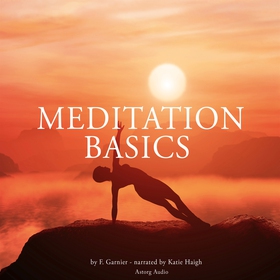 Meditation Basics (ljudbok) av Frédéric Garnier