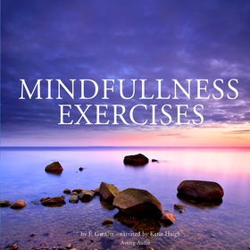 Mindfulness Exercises (ljudbok) av Frédéric Gar