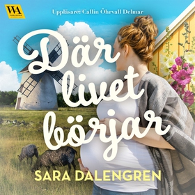 Där livet börjar (ljudbok) av Sara Dalengren