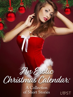 An Erotic Christmas Calendar: A Collection of S