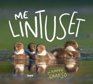 Me Lintuset