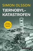 Tjernobylkatastrofen