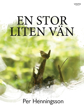 En stor liten vän (e-bok) av Per Henningsson