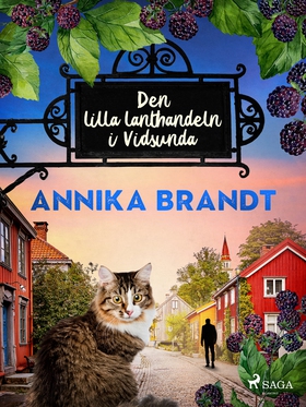 Den lilla lanthandeln i Vidsunda (e-bok) av Ann