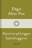 Myteriet på briggen Späckhuggaren