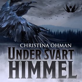 Under svart himmel (ljudbok) av Christina Öhman